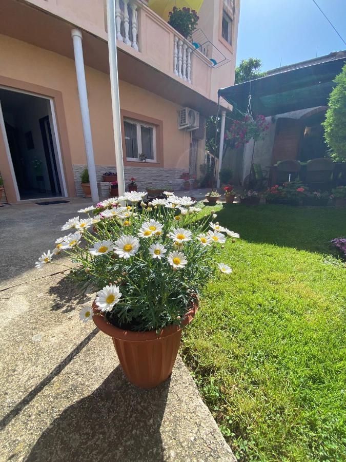 Apartment Dora Zadar Exterior photo